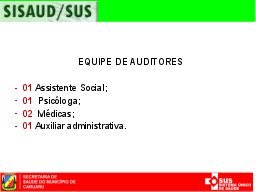 Slide 13